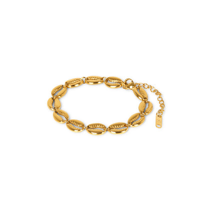 Pulsera de Cadena de Concha - Oro