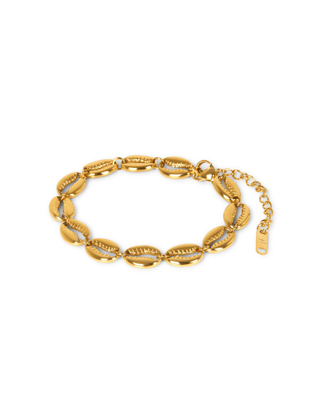 Pulsera de Cadena de Concha - Oro
