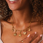 Delfín en Oro: Encanto de Collar