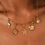 Delfín en Oro: Encanto de Collar